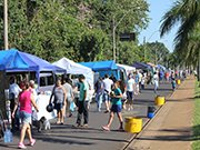 Feira dos Pequenos Produtores de Batatais tem grande variedade de frutas e legumes
