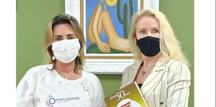 CMEC da Facesp e ONU Mulheres trocam experiências em prol da integração econômica feminina